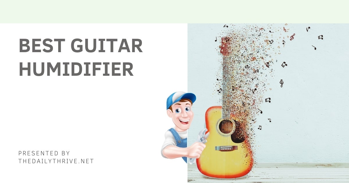 The best guitar humidifier - experts recommendations