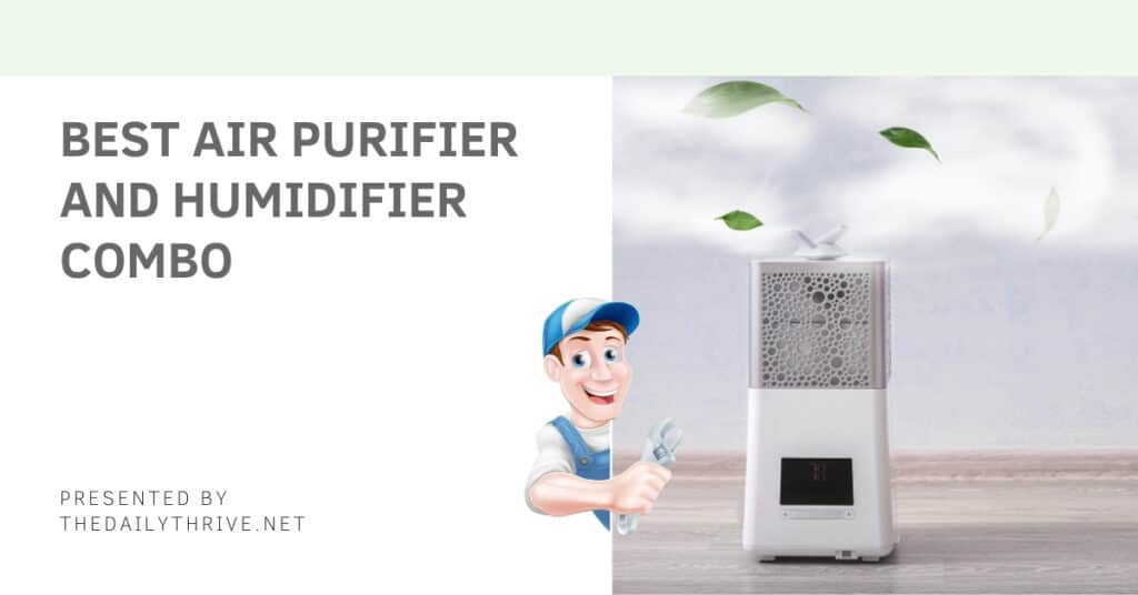 Best Air Purifier And Humidifier Combo