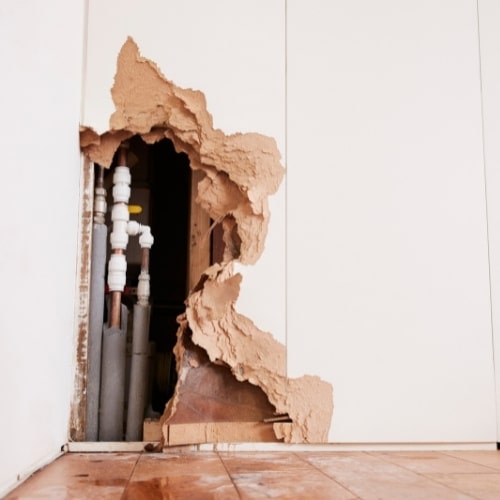 plywood - material destroyed by water in your home