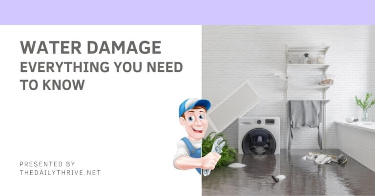 Water Damage And Everything You Need To Know About It