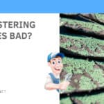 Are Blistering Shingles Bad?