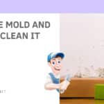 What Is Surface Mold and How to Clean It