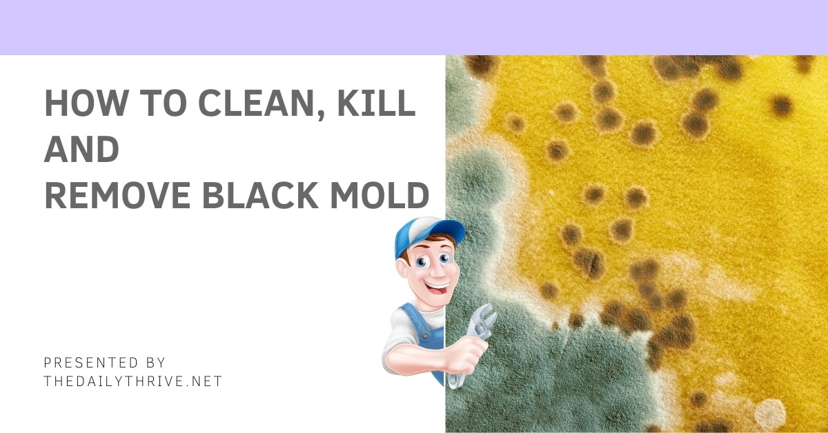 How To Clean, Kill And Remove Black Mold