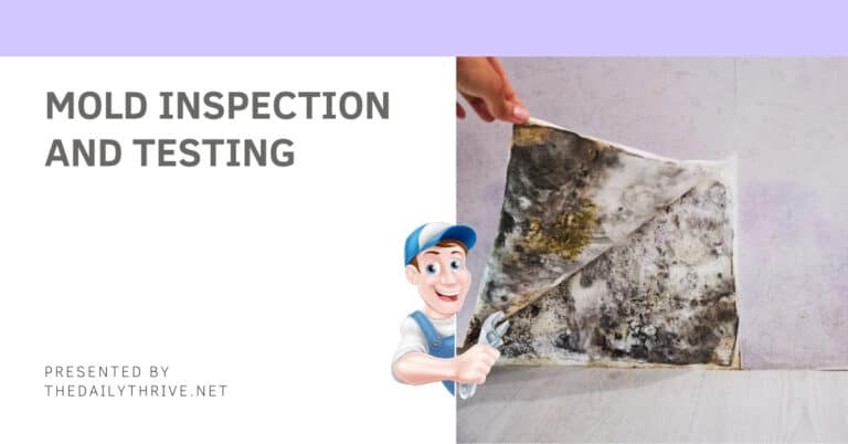 Mold Inspection and Testing