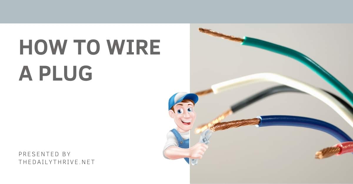 How to Wire a Plug - DIY