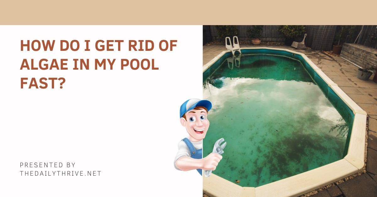 How Do I Get Rid Of Algae In My Pool Fast?