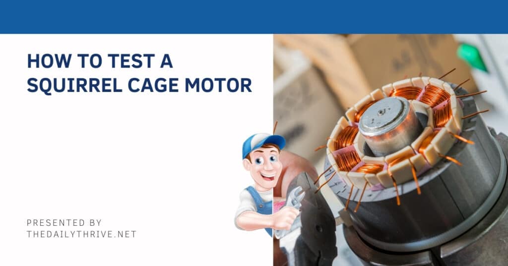 How To Test A Squirrel Cage Motor