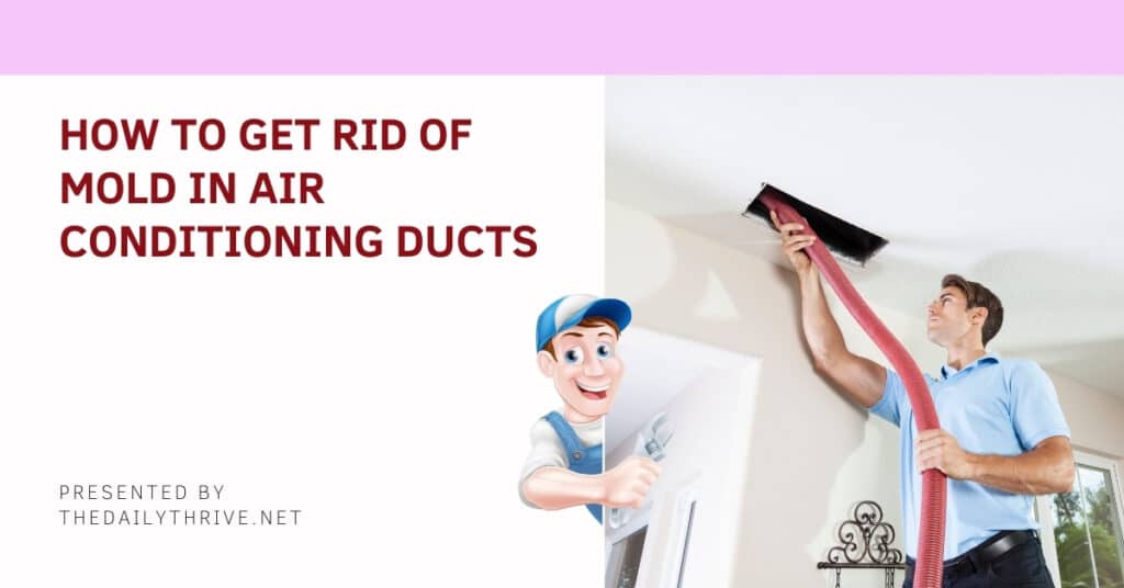 How To Get Rid Of Mold In Air Conditioning Ducts